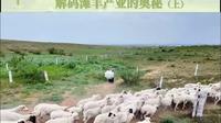 走进盐池：解码滩羊产业的奥秘（上）