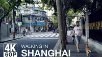 步行在上海安福路｜原上海法租界｜漫步上海｜上海著名网红打卡路