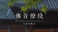 【白噪音】杭州净慈寺的雨天 I 佛音缭绕 雨声 钟声