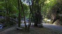 周末探肇庆四会奇石河景区，秋天爬山最理想。