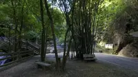 周末探肇庆四会奇石河景区，秋天爬山最理想。