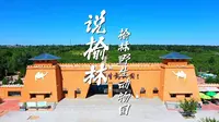 说榆林丨第32集 榆林野生动物园 周末去哪玩？榆林这处“溜娃宝藏地”你去过吗？