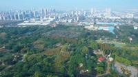 山东临沂市盛能游乐园美丽景色