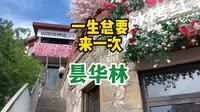 马上来一趟武昌昙华林，悄悄告诉你，现在集章不用排队