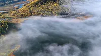 不敢信这是地球景象！泼墨山水活过来了！阿尔山乌苏浪子湖晨雾封神！