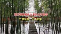 探访鄂豫两省交界的白竹园寺，竹林玩雪，乐不思蜀