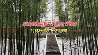探访鄂豫两省交界的白竹园寺，竹林玩雪，乐不思蜀