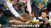 天津动物园：请收起你那仨瓜俩枣，别再给我动物吃坏了！