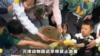 天津动物园：请收起你那仨瓜俩枣，别再给我动物吃坏了！