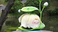 福州三江口植物园收费了，却更好逛了？