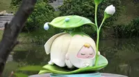 福州三江口植物园收费了，却更好逛了？