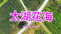 江苏省苏州市西山太湖花海景点