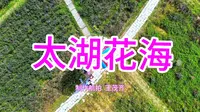 江苏省苏州市西山太湖花海景点
