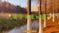 青年创意田园