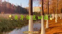 青年创意田园