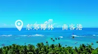 海南环岛旅游公路文昌东郊椰林段（穿越椰海）