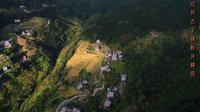 【Dji Air2s】十月金秋航拍广东高州市古丁镇柏河梯田
