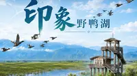 一方湿地，万物共生， 野鸭湖以不变生态之本， 新生万般烟火！