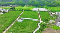 杨成武将军故居位于福建龙岩长汀县宣成乡下畲村，风景优美旁边还有百亩百香果种植园等新农业项目。