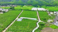 杨成武将军故居位于福建龙岩长汀县宣成乡下畲村，风景优美旁边还有百亩百香果种植园等新农业项目。