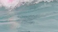 桐城活海