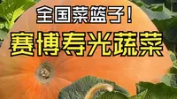 到“全国菜篮子”寿光蔬菜博览会逛一逛，揭秘科技农业到底有多牛