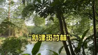 新津斑竹林