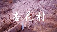 新疆旅行｜在吐鲁番发现了牧童遥指的杏花村