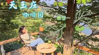 普洱·天玉庄咖啡园