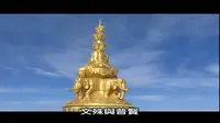 【珍贵老纪录片】峨嵋山十方普贤圣像