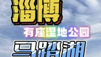 淄博游玩：马踏湖湿地公园