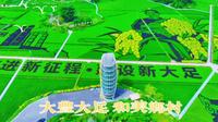 大丰大足 和美乡村 重庆大足袁隆平实验田稻谷快成熟了！