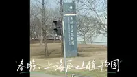 上海辰山植物园，春游vlog