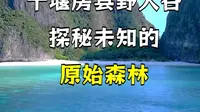 十堰房县野人谷探秘未知的原始森林