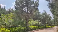 大理 洱海 罗荃半岛 漂流嗨起来(原声尖叫) 040920