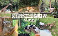 vlog.28 广州长隆野生动物世界里面有什么