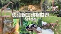 vlog.28 广州长隆野生动物世界里面有什么