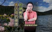 杜鹃醉鱼，普达措国家公园的绝美盛景