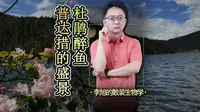 杜鹃醉鱼，普达措国家公园的绝美盛景