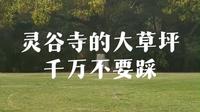 灵谷寺的大草坪不要踩！