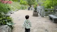 欲买桂花同载酒，终不似，少年游。昆山亭林园，鲜有人知的刘过墓