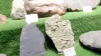 崇州天演博物馆1号馆（1）