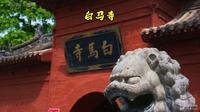 260411洛阳白马寺