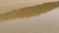 【朱家尖】里沙海滨浴场