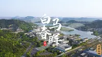 上虞记忆-白马春晖