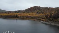 【航拍】伊春市汤旺河林海奇石风景区