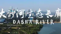 大沙河生态长廊