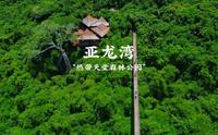 三亚亚龙湾热带天堂森林公园游玩体验如何？