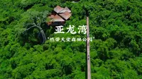 三亚亚龙湾热带天堂森林公园游玩体验如何？