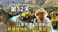 在新疆喀纳斯的森林里徒步10公里，从神仙湾到月亮湾再到卧龙湾，太美啦！